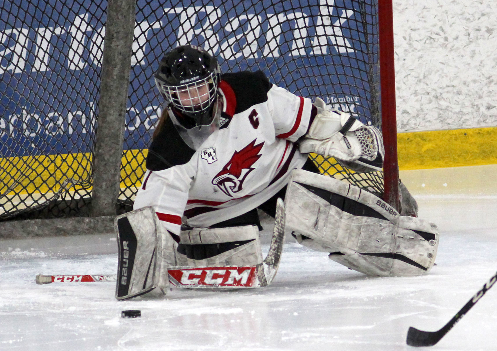 Medford at Chippewa Falls/Menomonie girls hockey 1-30-20